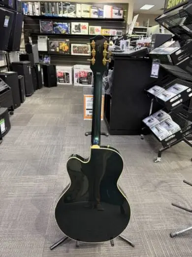 Gretsch Guitars - 250-5011-546 2